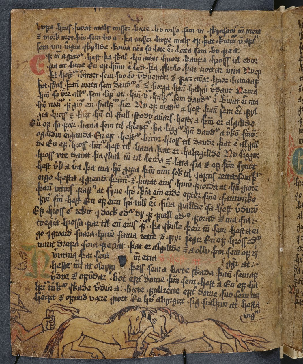 Pelea de caballos, del Heynesbok (El Libro de Heynes), primera mitad del siglo XVI de Icelandic School