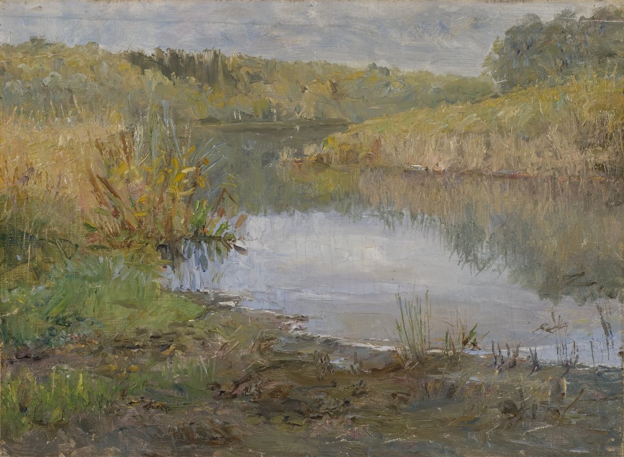 Un río en Francia (óleo sobre lienzo montado sobre cartón) de Ida von Schulzenheim