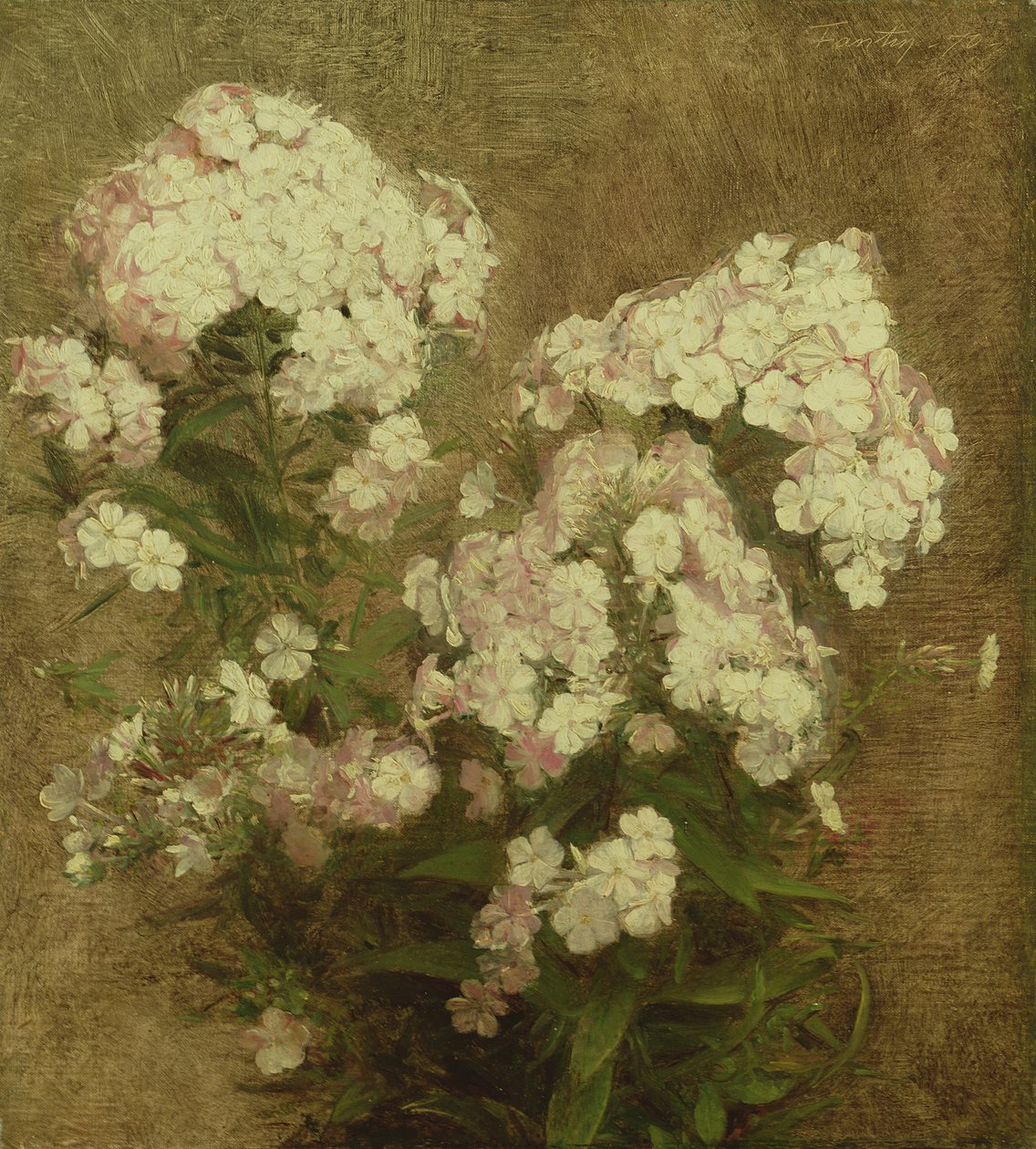 Phlox, 1870 de Ignace Henri Jean Fantin Latour