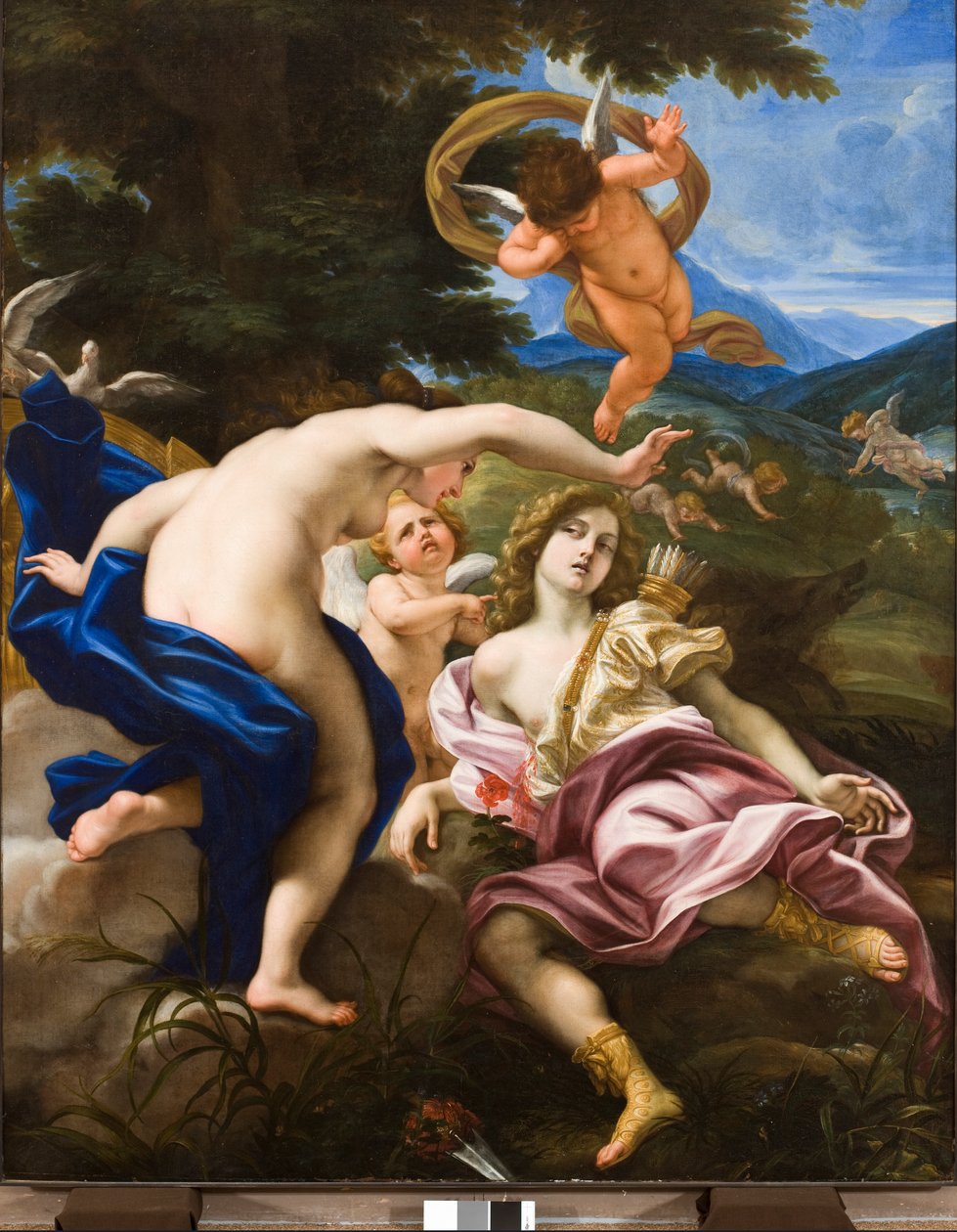 La Muerte de Adonis, c.1683-85 de Il Baciccio