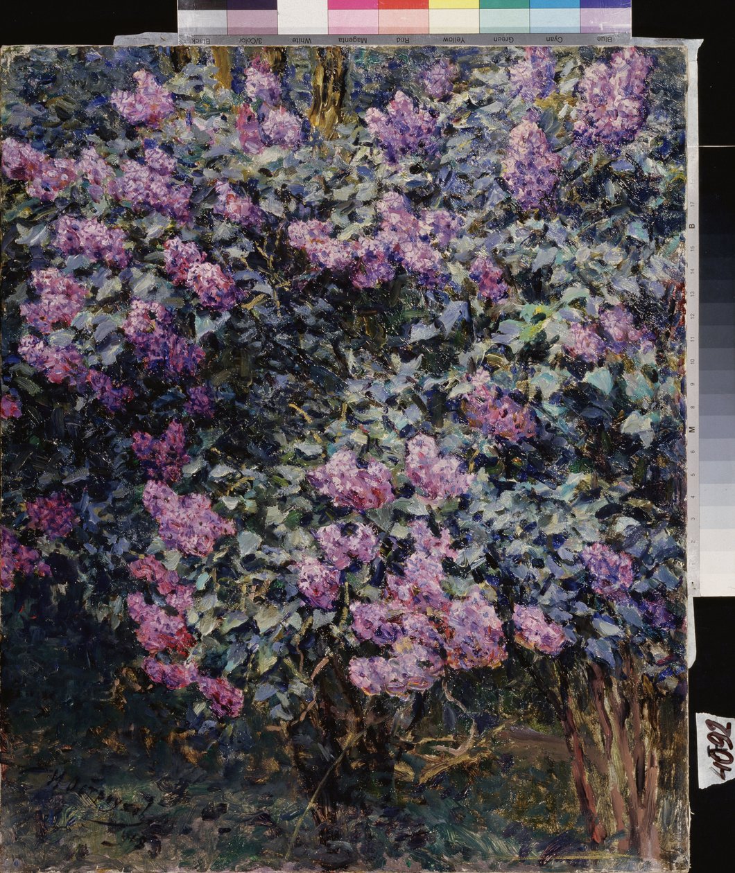 Lila. Pintura de Ilya (Ilia) Semenovich Ostroukhov (1858-1929), óleo sobre lienzo de Ilya Ostrouhov