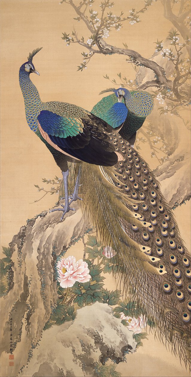 Un Par de Pavos Reales en Primavera de Imao Keinen