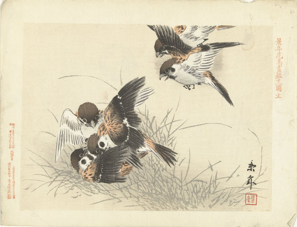 Cinco gorriones peleando Bocetos de flores y pájaros de Keinen (título de la serie) Keinen kacho gafu (título de la serie sobre el objeto) de Imao Keinen