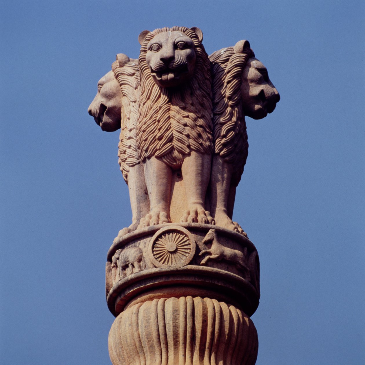 (detalle) de un Pilar de Ashoka de Indian School