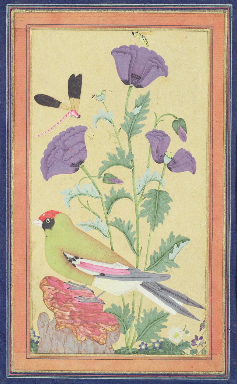 Jilguero, amapolas, libélula y abeja de Indian School