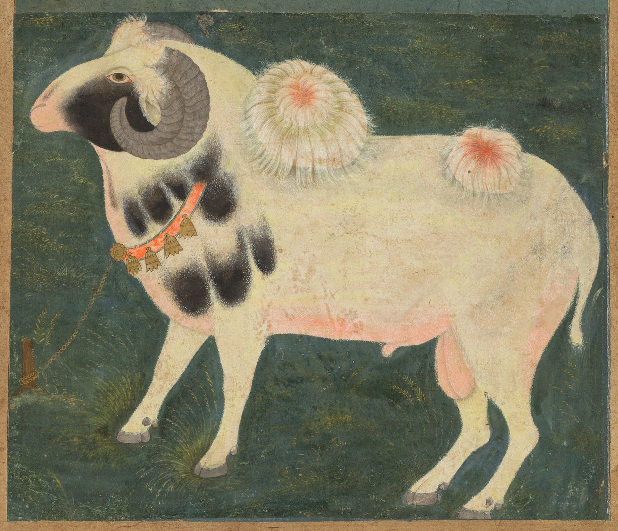Un carnero real con una cadena de oro, c. 1585 (acuarela opaca y oro sobre papel) de Indian School
