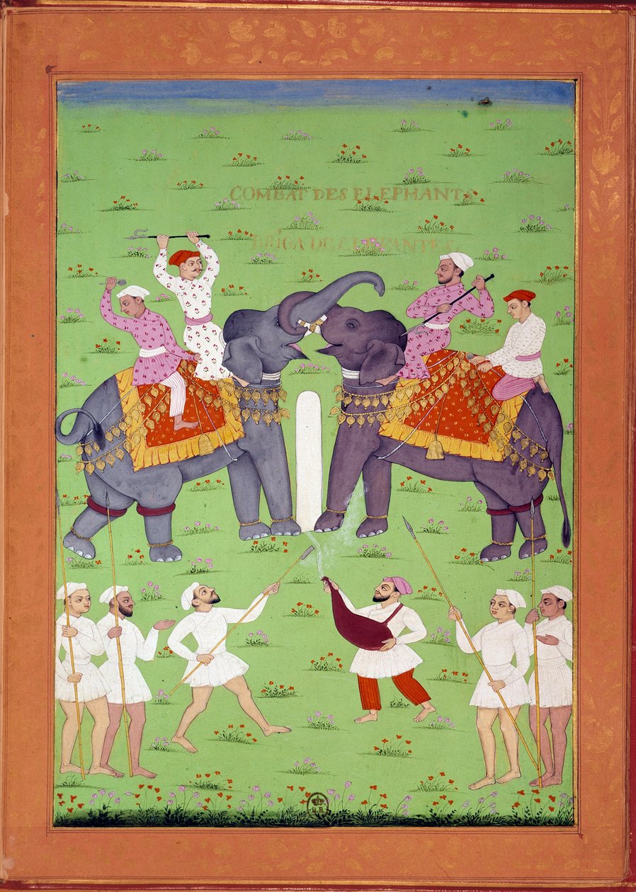 Batalla de dos elefantes en la corte de Shah Alem de Indian School