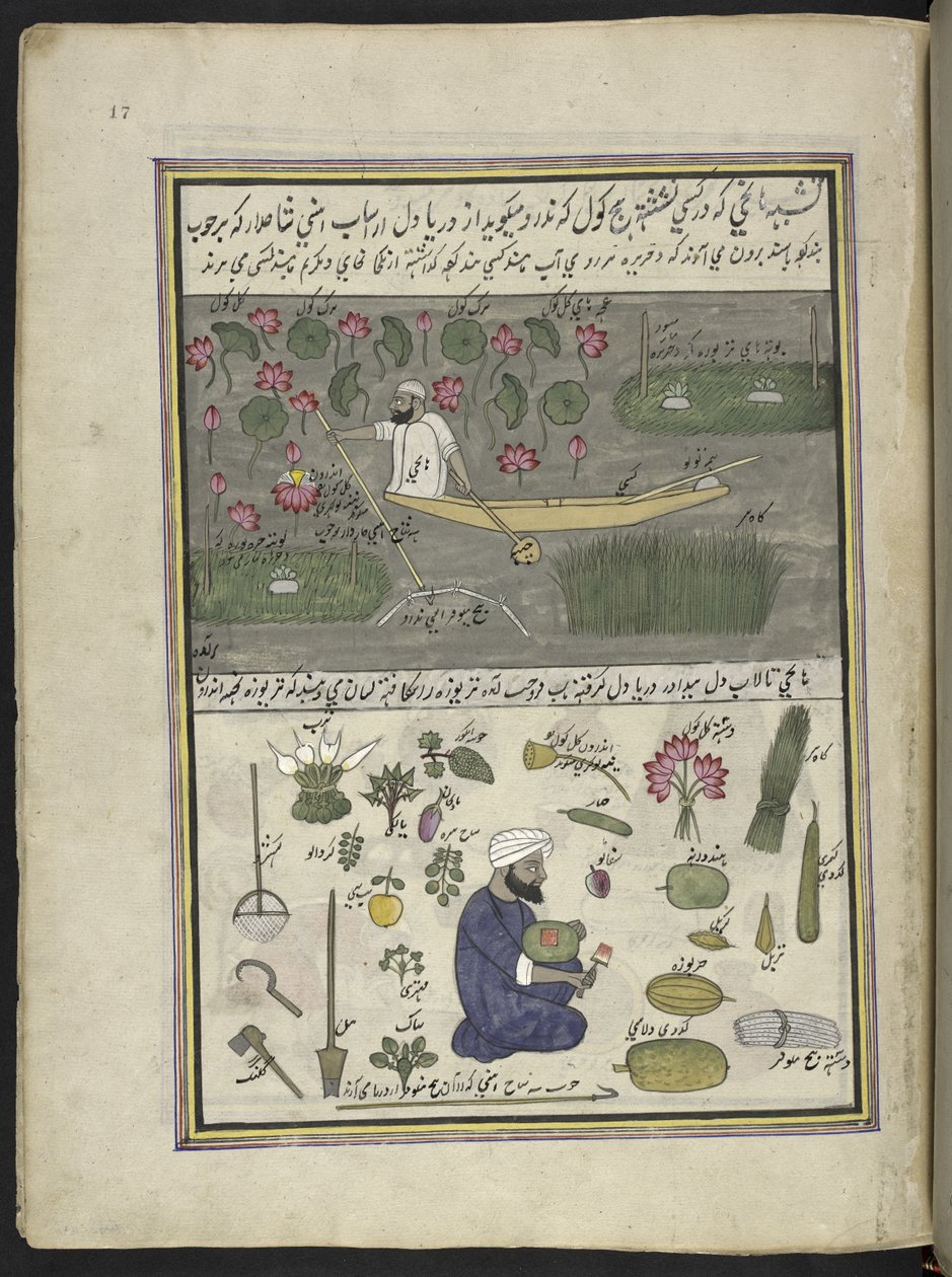 Barquero recogiendo raíz de loto; cultivo en el agua,  86 dibujos encuadernados en un volumen que representa oficios y ocupaciones en Cachemira, se muestra a los artesanos trabajando con sus implementos y equipos,  Por un artista de Cachemira, probablement de Indian School