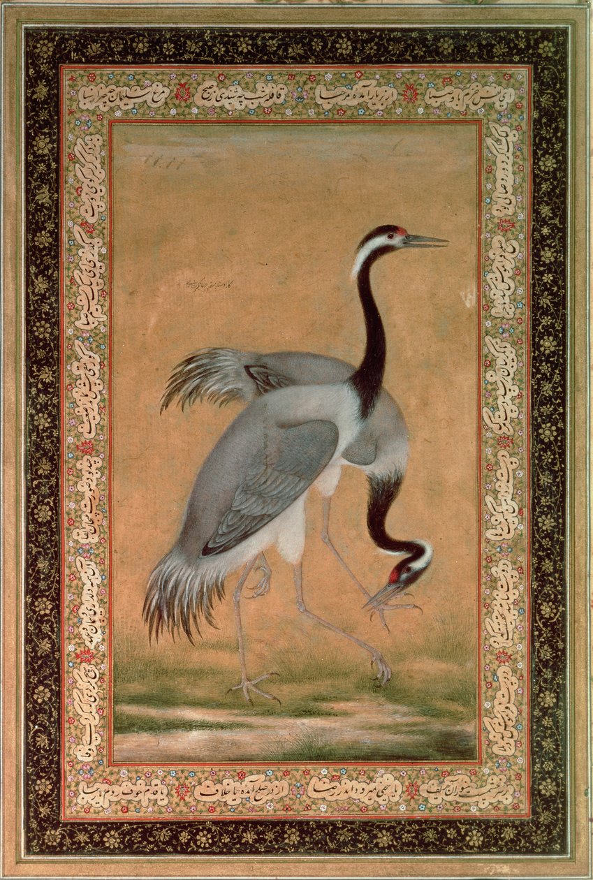 Grullas de Mansur, periodo Jahangir, mogol de Indian School