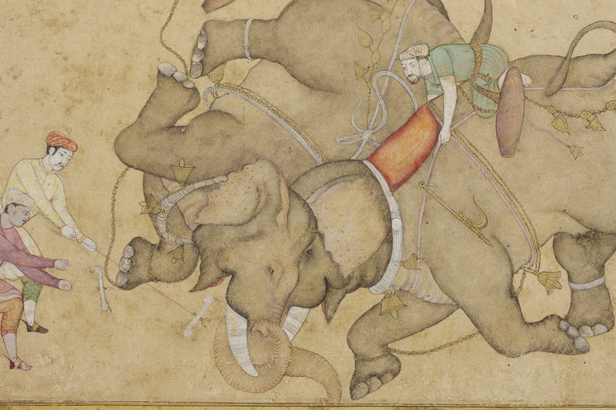 (detalle) Combate de elefantes, con borde de arabesco floral de Indian School