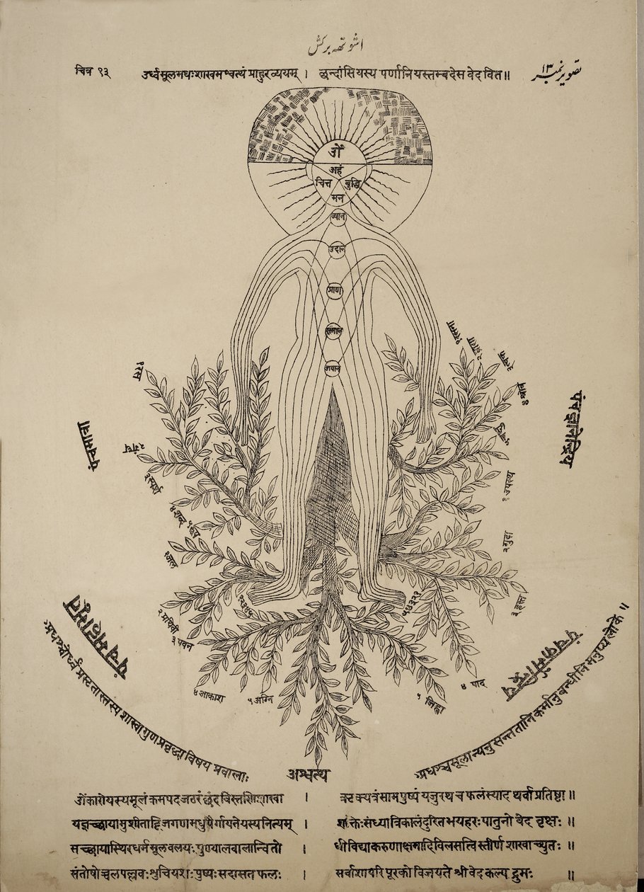 Diagrama que muestra los puntos meridianos en el cuerpo humano de Indian School