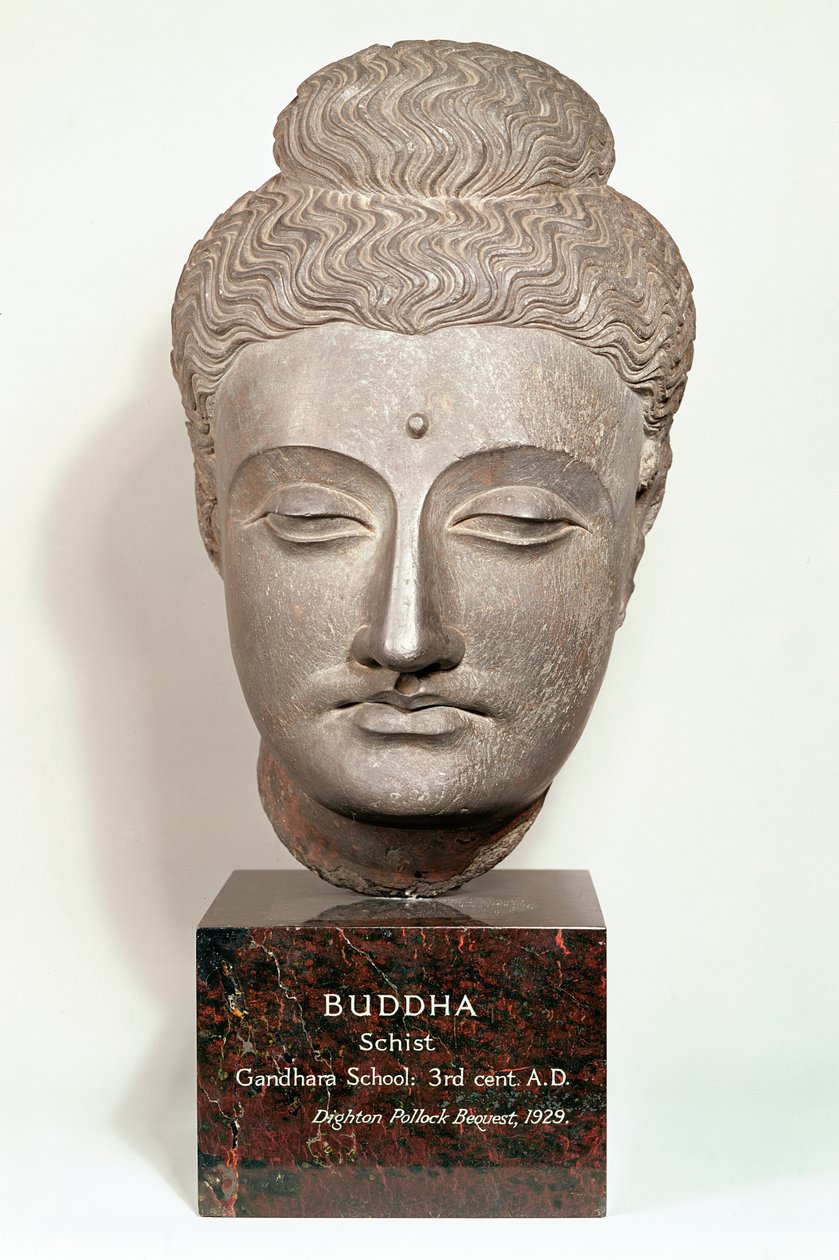 Cabeza de una estatua de Buda, de Gandhara, noroeste de India de Indian School