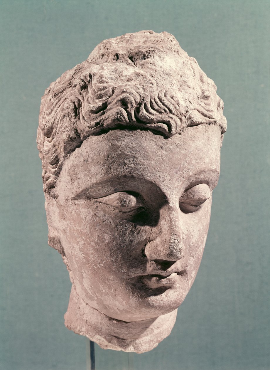 Cabeza de Buda, Gandhara, siglos II-IV (estuco) de Indian School