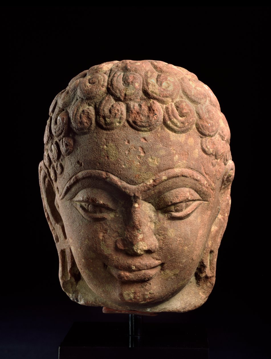 Cabeza de un Tirthankara Jain, Región de Mathura, período Kushan, siglo III-IV d.C. de Indian School