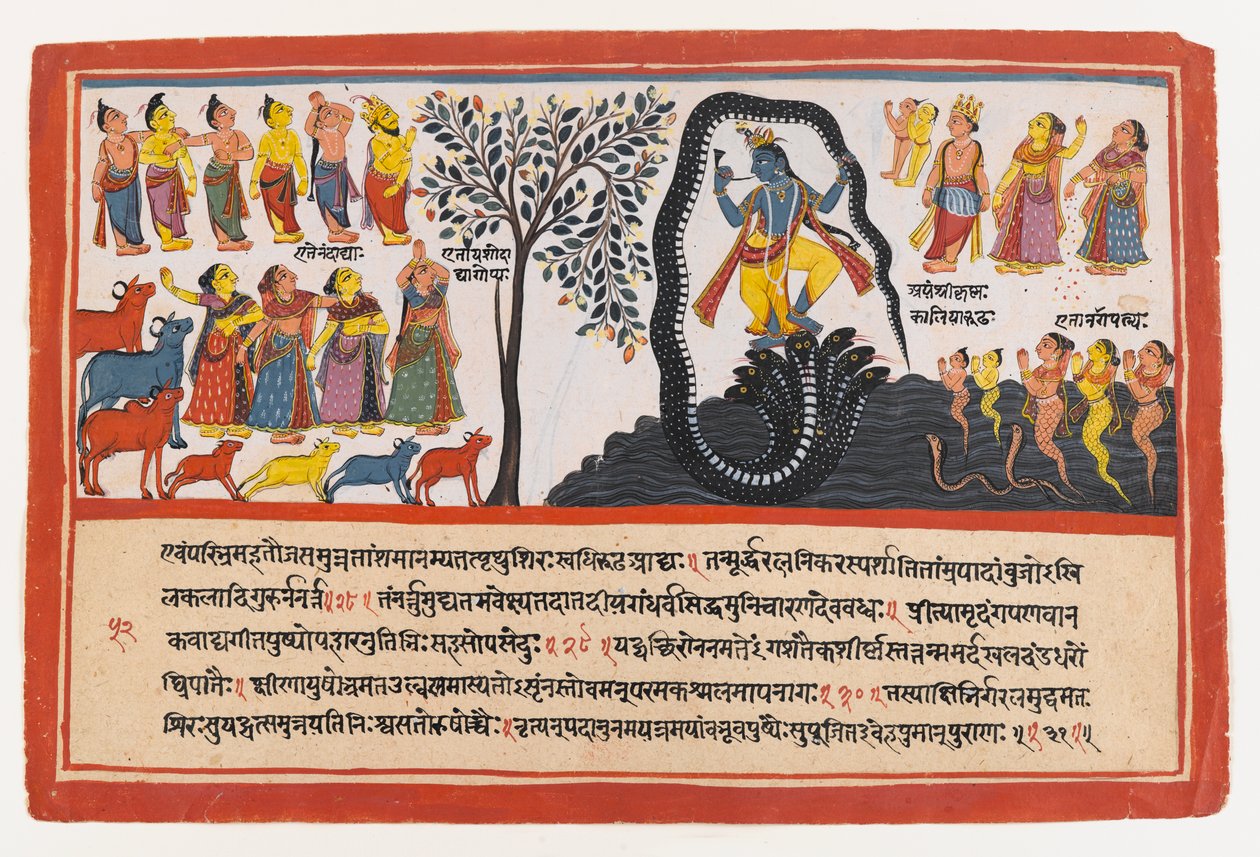 Krishna Conquista la Serpiente Kaliya, página de una Serie Dispersa del Bhagavata Purana de Indian School