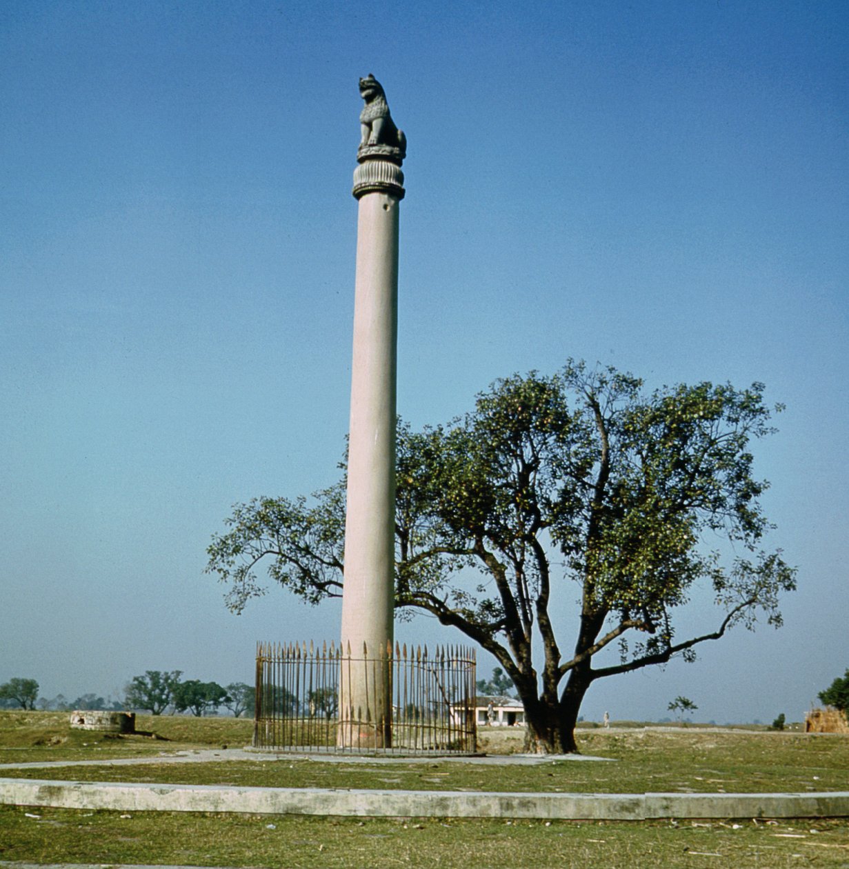 Pilar del León del Emperador Ashoka (c.264-223 a.C.) de Indian School