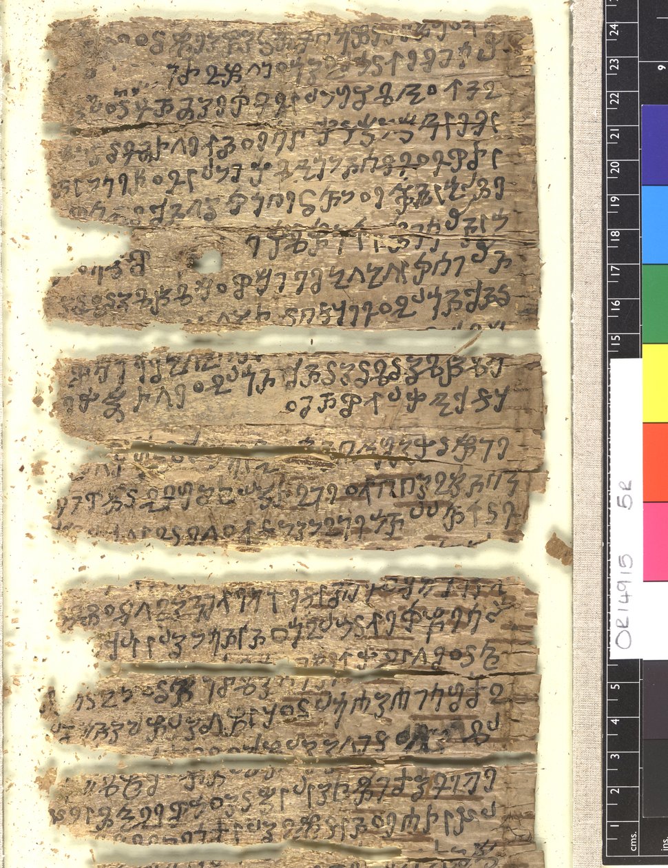 OMS OR 14915 f.5r Fragmentos de manuscrito de corteza de abedul en Kharoṣṭi de Indian School