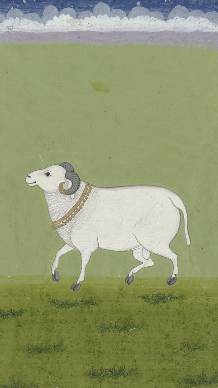 Carnero con collar dorado, 1700-1799 de Indian School