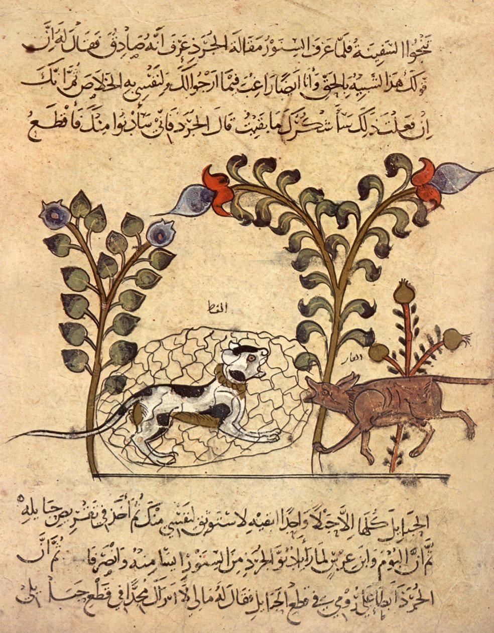 El gato y la rata, miniatura árabe de "Kalila va dimna" de Indian School