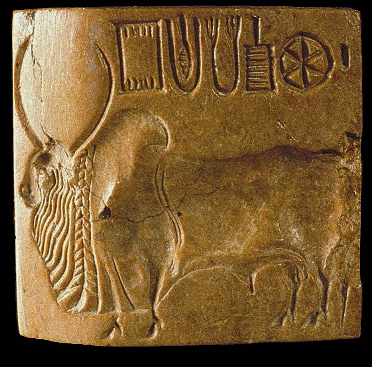 Sello de toro cebú con escritura del Indo encontrado en Mohenjo Daro, Valle del Indo, 3er milenio a.C. de Indus Valley Civilisation.