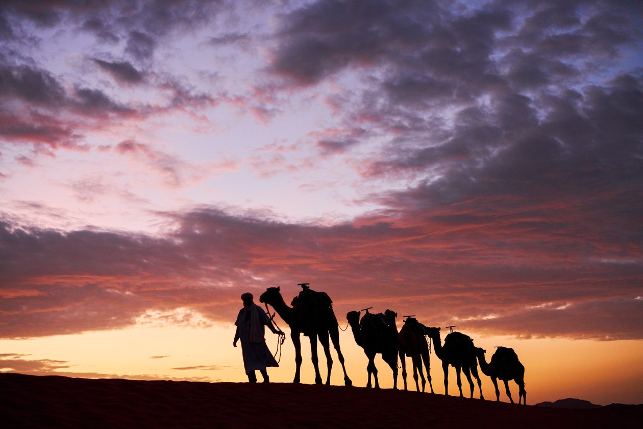 Un camellero conduce sus camellos en Erg Chebbi en el desierto de Merzouga, Marruecos, 2019 (foto) de Ira Block