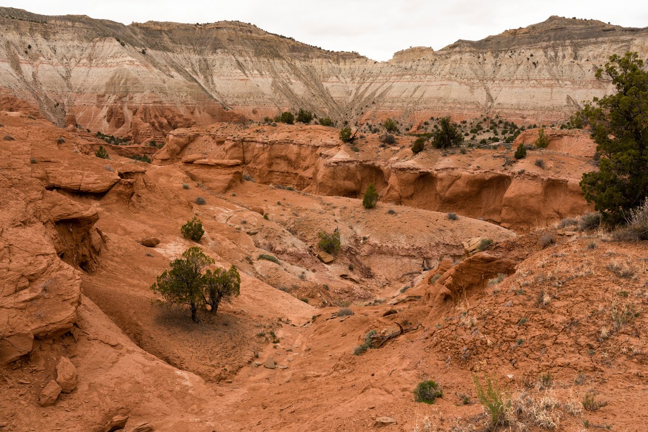 Un paisaje en el parque estatal de Kodachrome Basin, Utah, 2019 (foto) de Ira Block