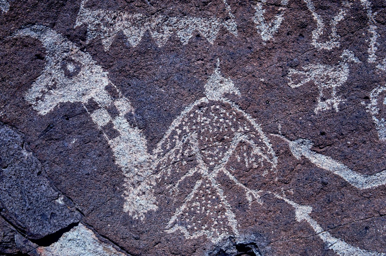 Petroglifos (arte rupestre) anasazi en Nuevo México. de Ira Block