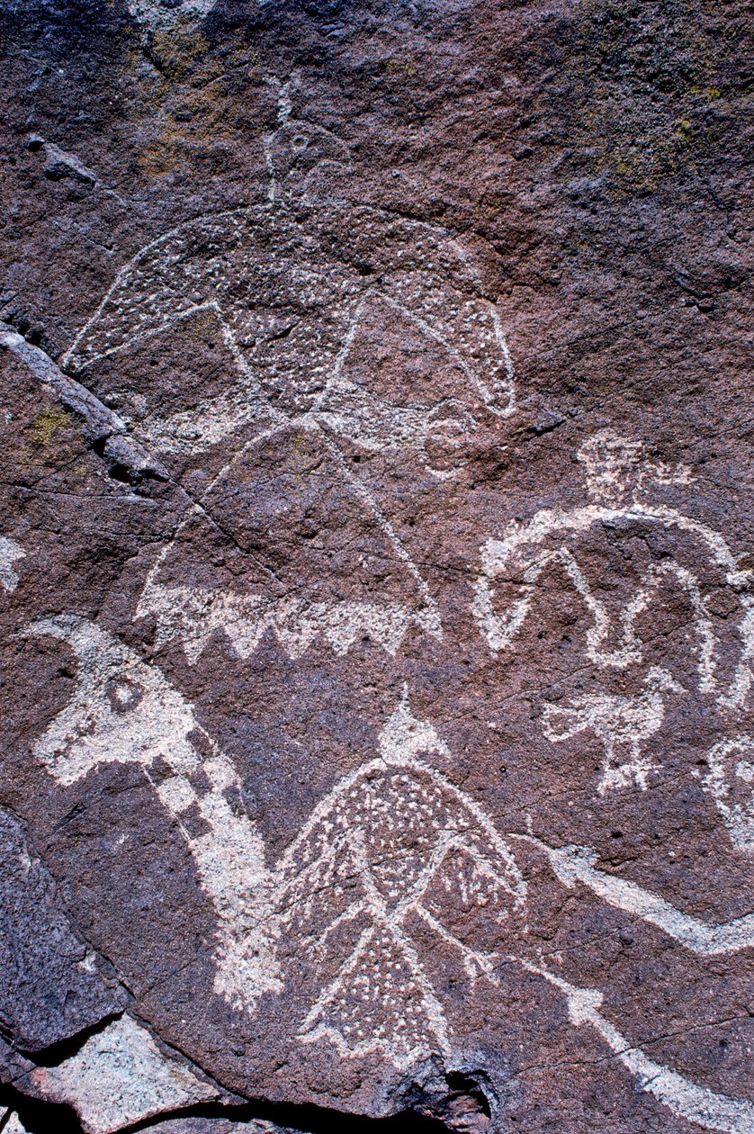Grabados rupestres anasazi hallados en Nuevo México. de Ira Block