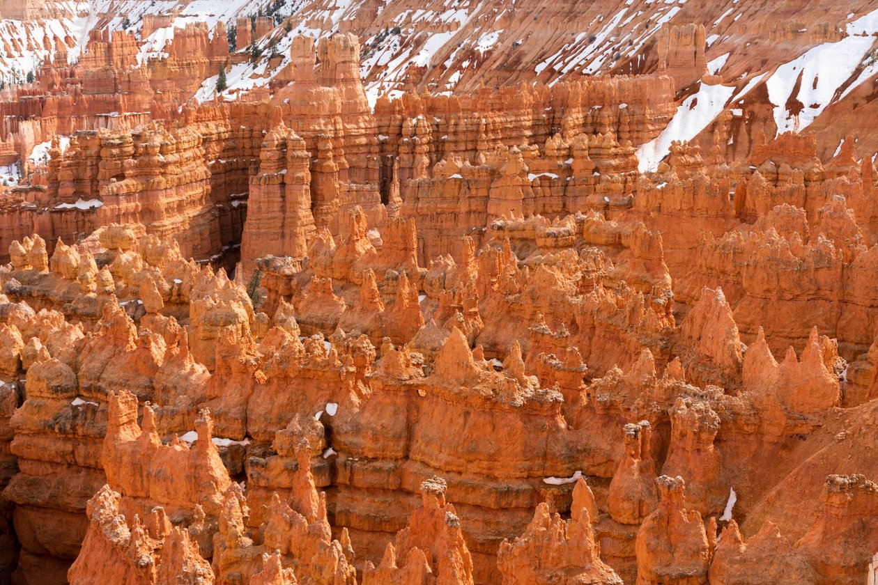 Hoodoos - agujas creadas por la erosión - en el Parque Nacional Bryce Canyon en Utah., 2019 (foto) de Ira Block