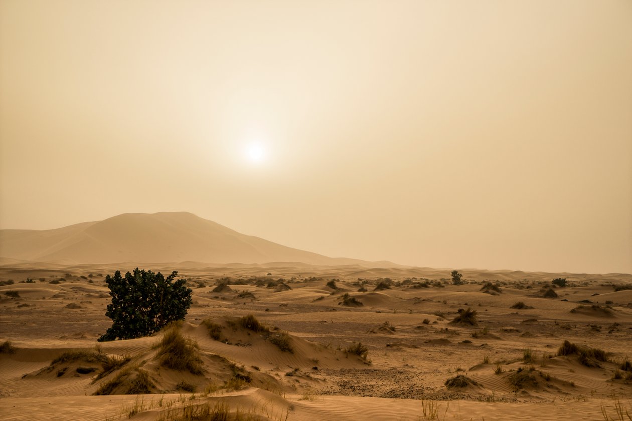 Dunas de arena en el desierto de Erg Chebbi, en el sureste de Marruecos, 2014 (foto) de Ira Block