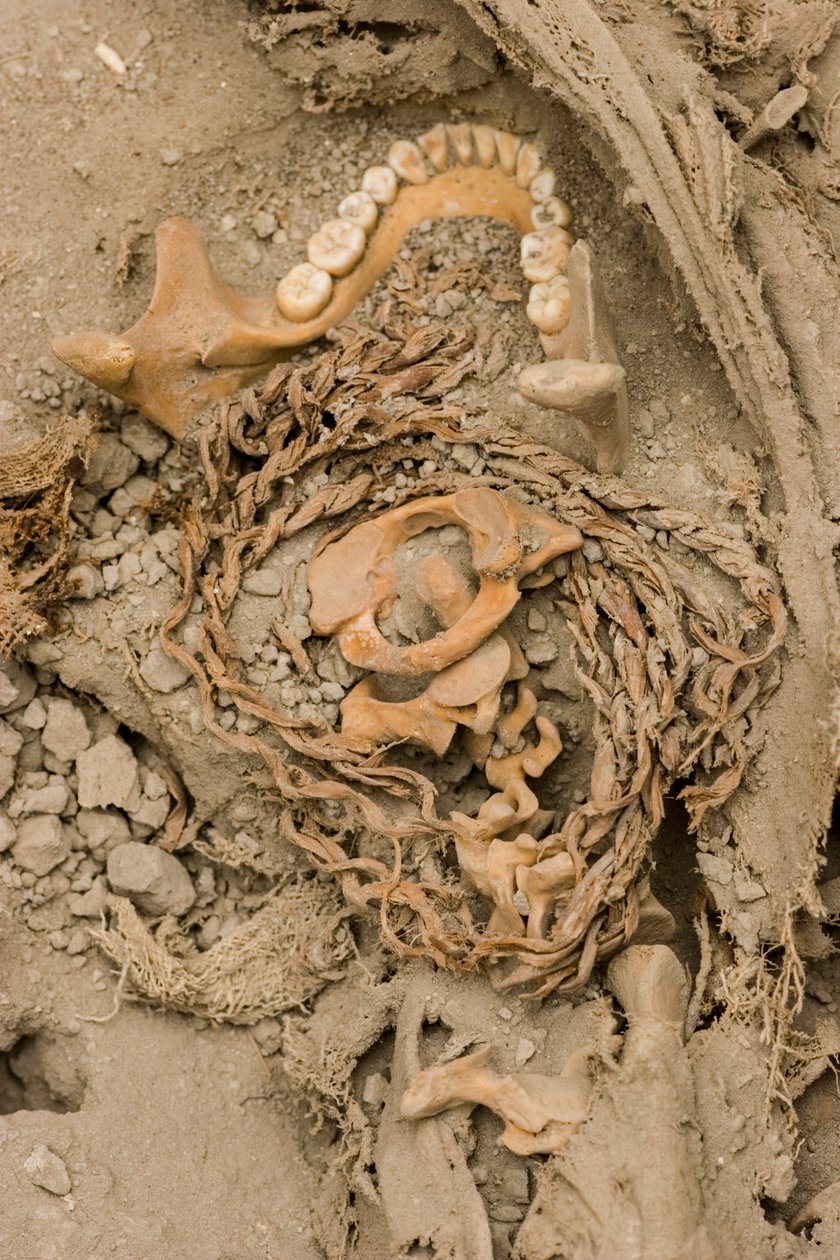 Los restos del sacrificio femenino. 2005 (foto) de Ira Block