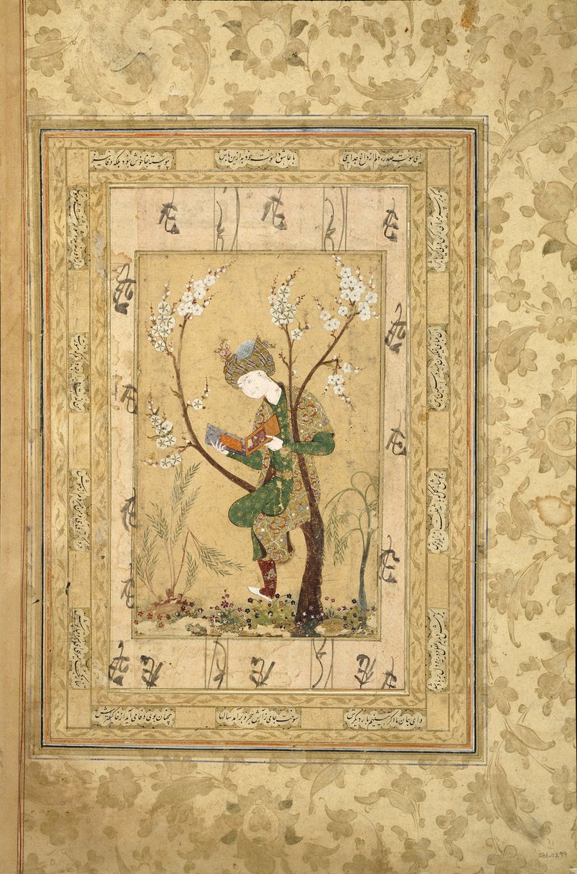 Joven sentado en la horquilla de un árbol floreciente, 1560s de Iranian Master