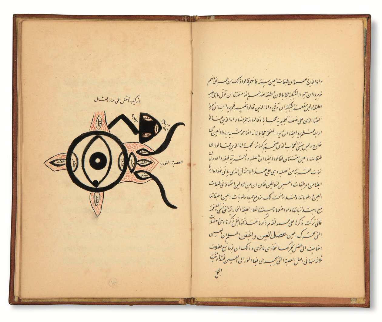 Hunayn Bin Ishaq (m. 873 d.C.): Tres tratados (Maqalat) de oftalmología, Qajar, Irán, primera mitad del siglo XIX (tinta sobre papel) de Iranian School