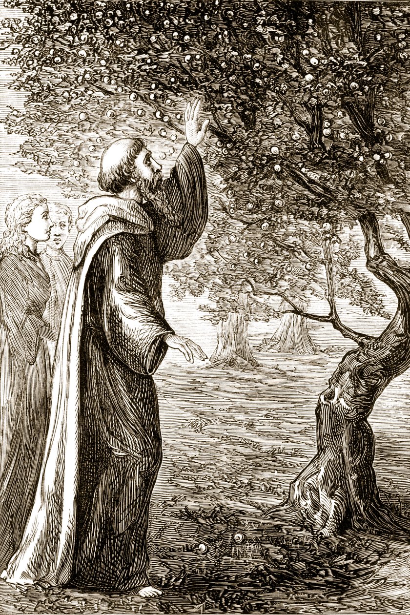 San Columba cambia fruta amarga en dulce, de The Trias Thaumaturga, o Tres Santos Milagrosos de Irlanda, por Mary Cusack (1829-99) publicado c.1890s de Irish School