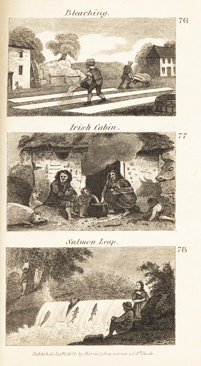 Oficios en la Irlanda de la Regencia: blanqueo, cabaña irlandesa y salto de salmón de Isaac Taylor