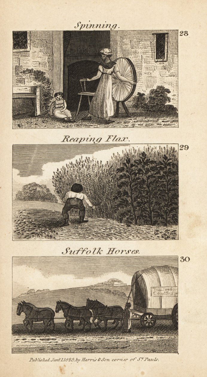 Imagen desconocida de Isaac Taylor