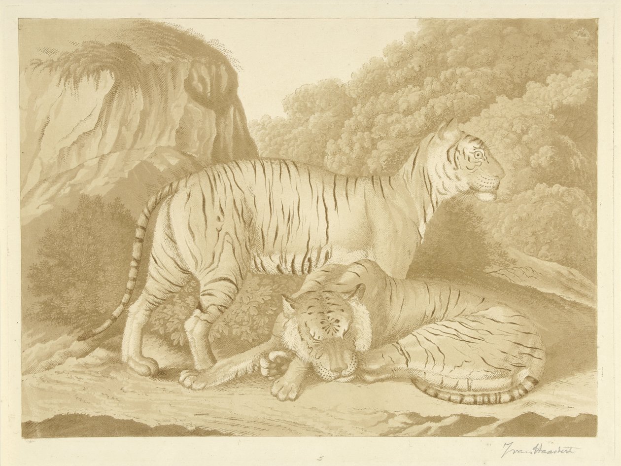 Dos tigres en un paisaje de Isaac van Haastert (signed by artist)