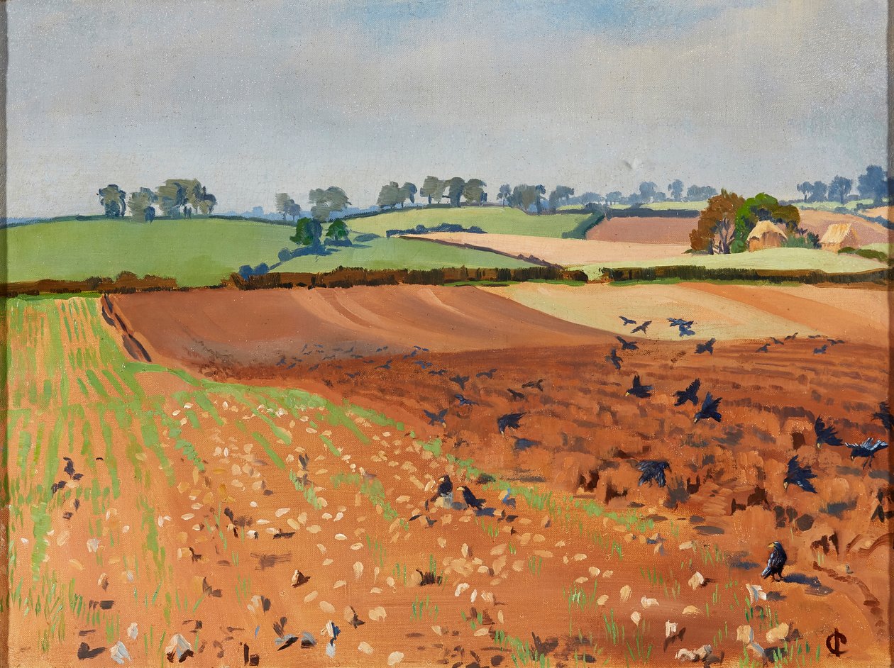 Campo arado de Isabel Codrington