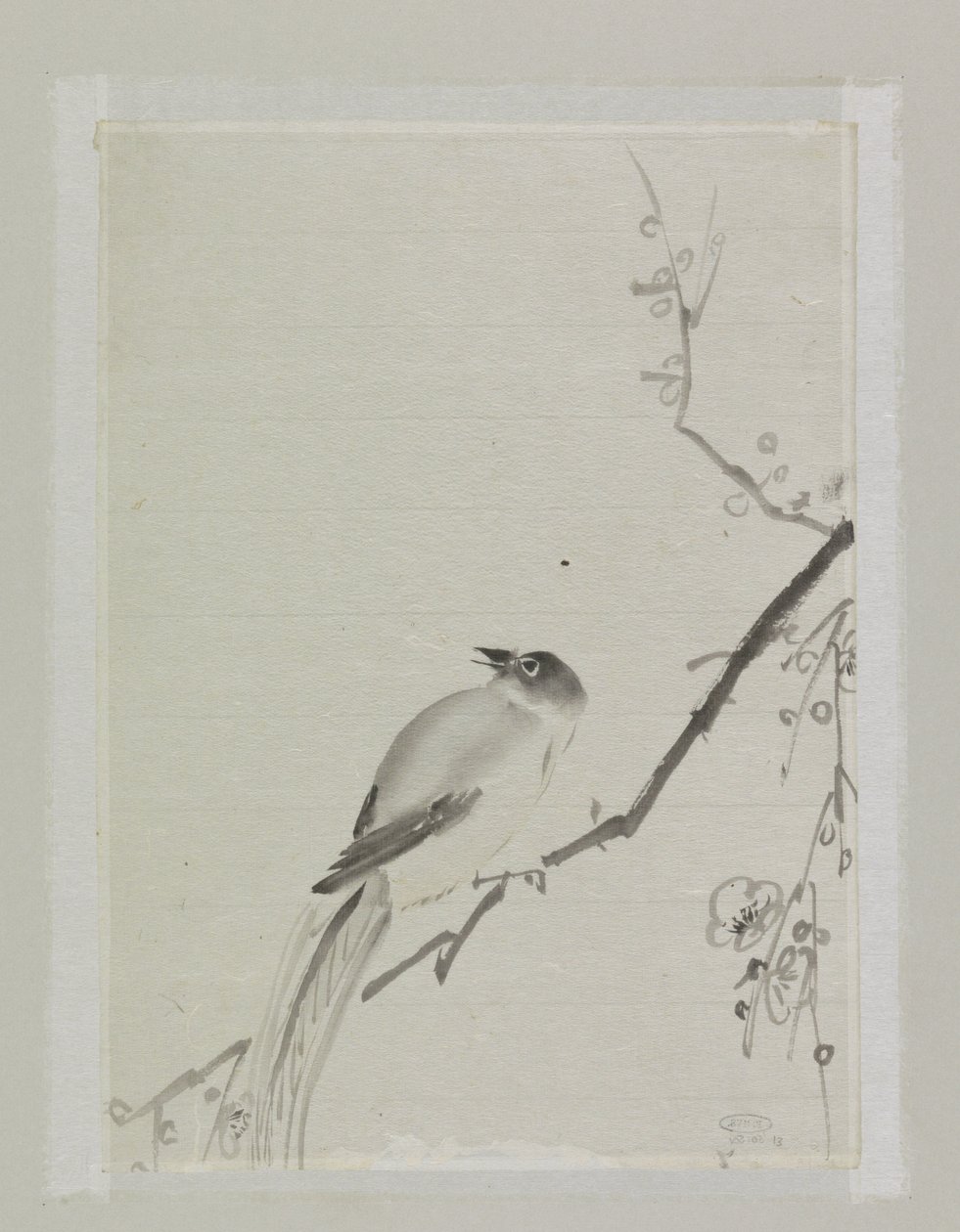 Pájaro en la rama de un cerezo de Ishikawa Kazan
