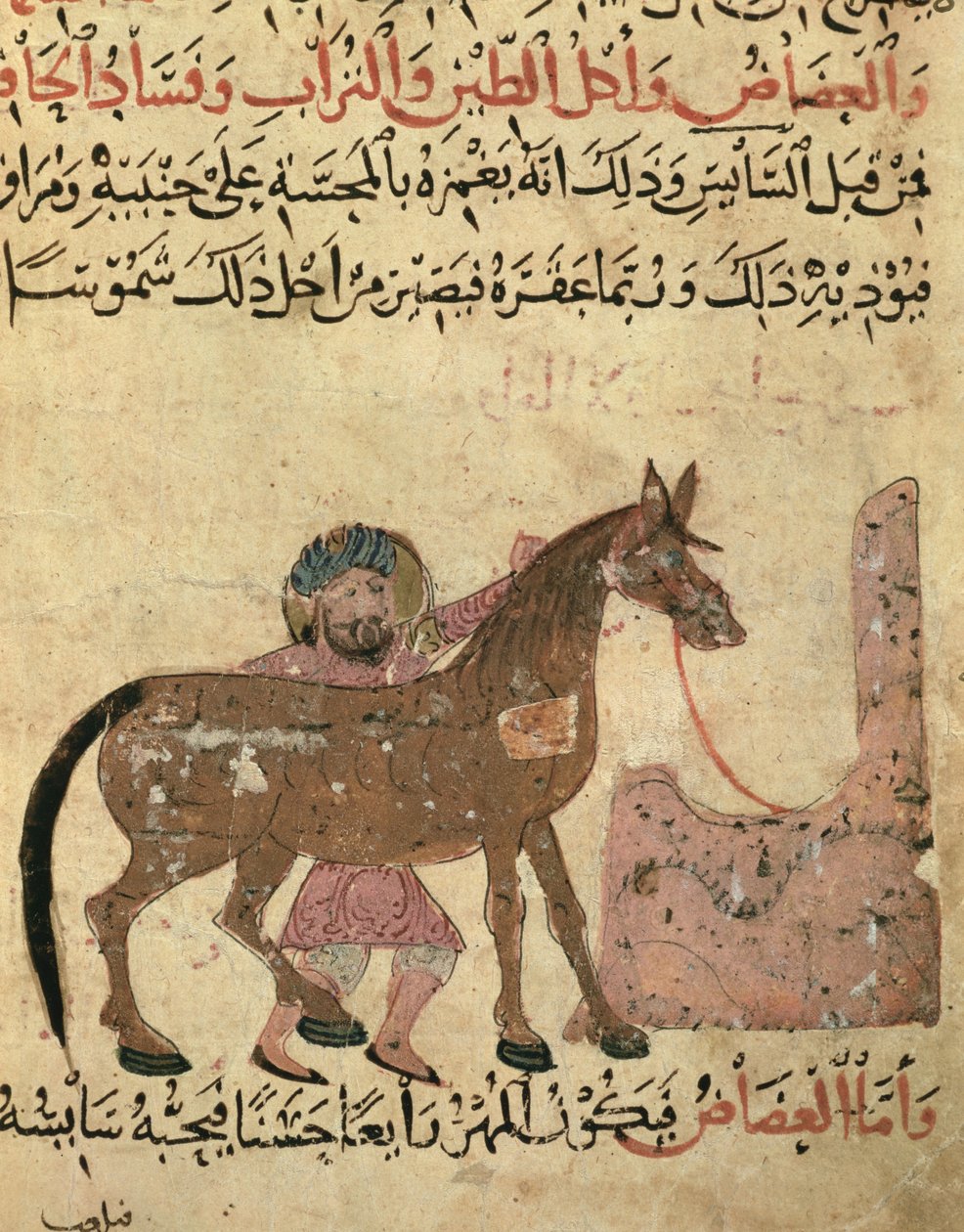 Cuidando al caballo, ilustración del 