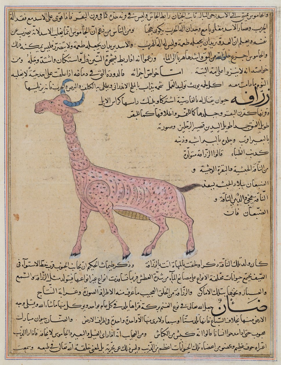 Ms E-7 fol.180 Una jirafa, de 