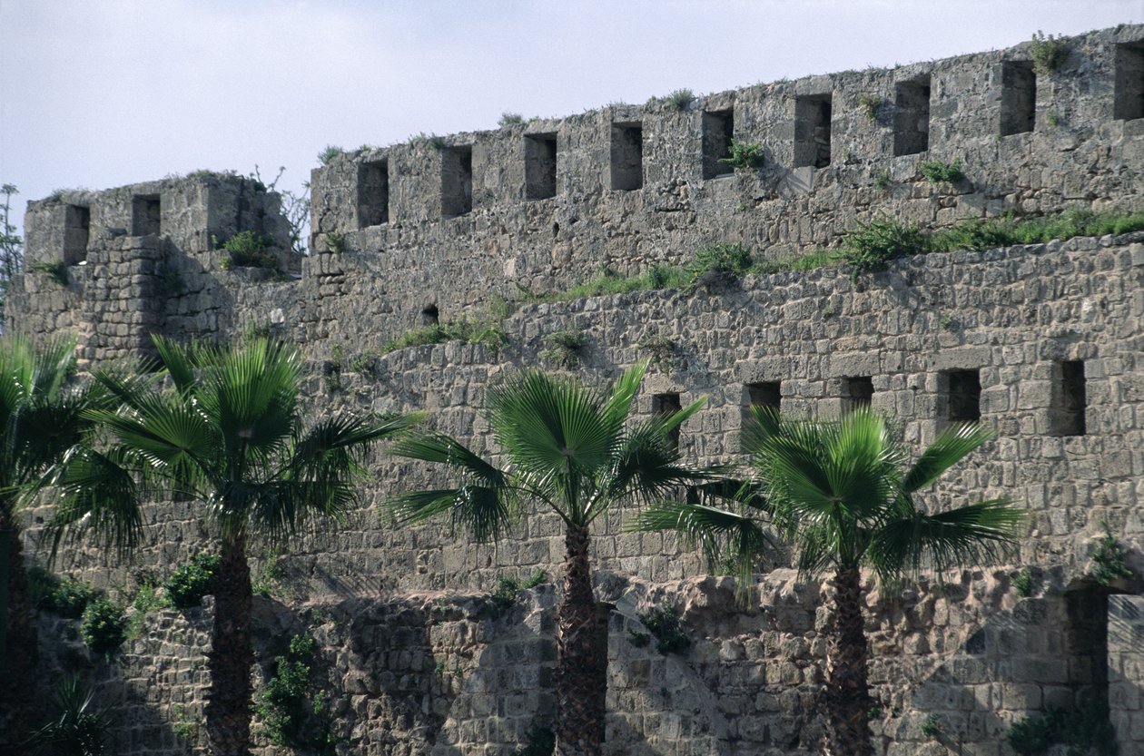 Murallas desde la ciudadela de Islamic School