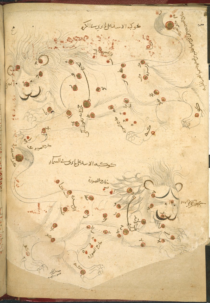 O 5323 f.45v Dos leones, ilustración de 