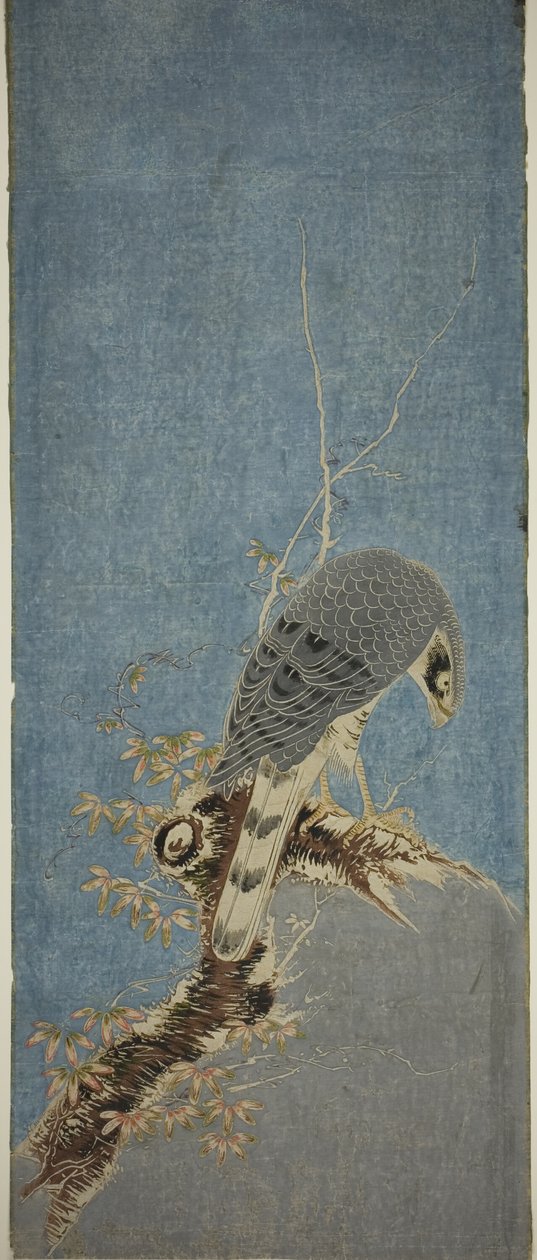 Halcón posado en un árbol de Isoda Koryusai
