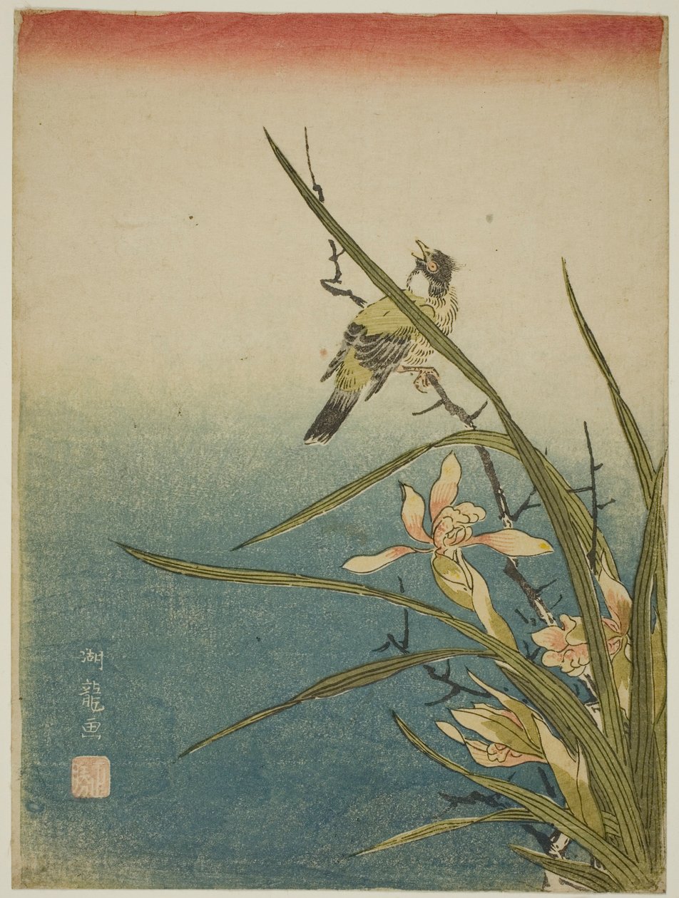 Orquídea y pájaro de Isoda Koryusai