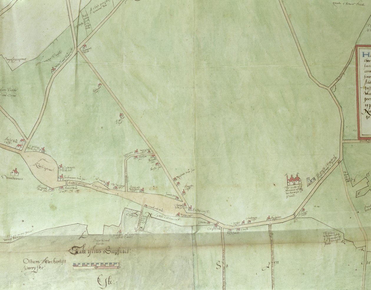 Ms.255171 Mapa de la finca de Belchamp St. Paul, 1576 (pluma y tinta y acuarela sobre papel) (detalle) de Israel Amyce