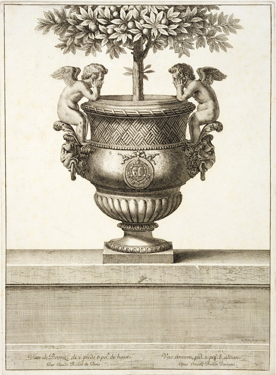 Urnas de bronce usadas para árboles cítricos, ilustración de 