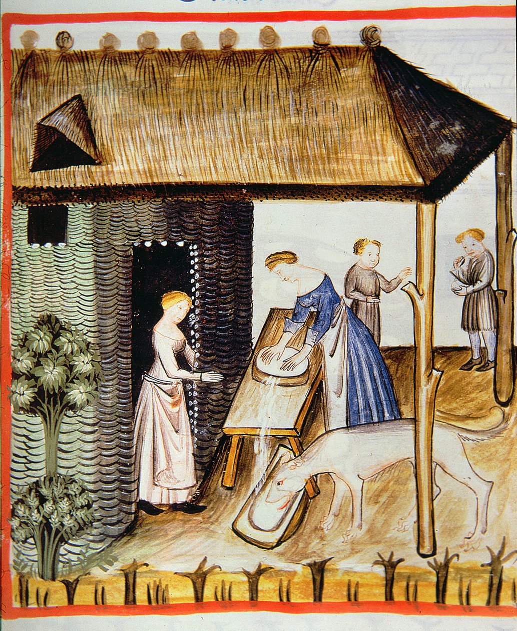 Preparación de queso fresco, de Tacuinum Sanitatis de Italian School