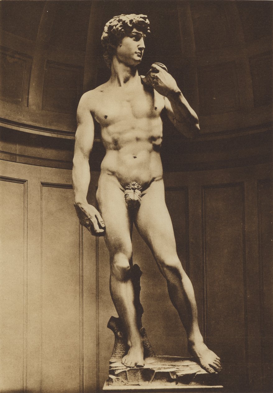 Florencia: el David de Miguel Ángel (fotografía en blanco y negro) de Italian Photographer
