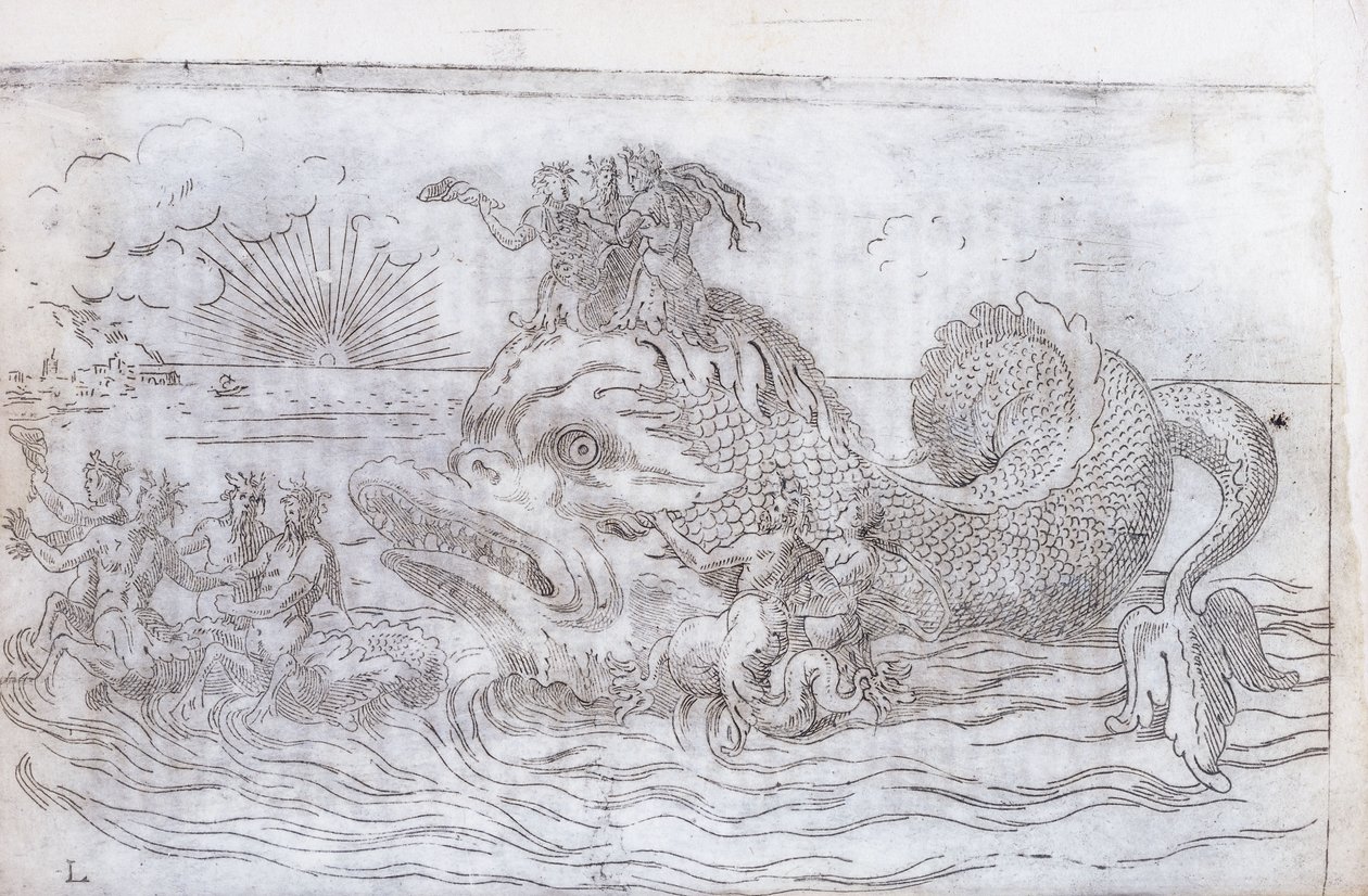 Un carro de peces fantástico, 1579 de Italian School